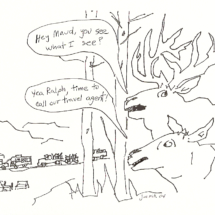 4_9 copy