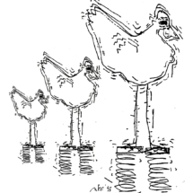 cover chickens copy